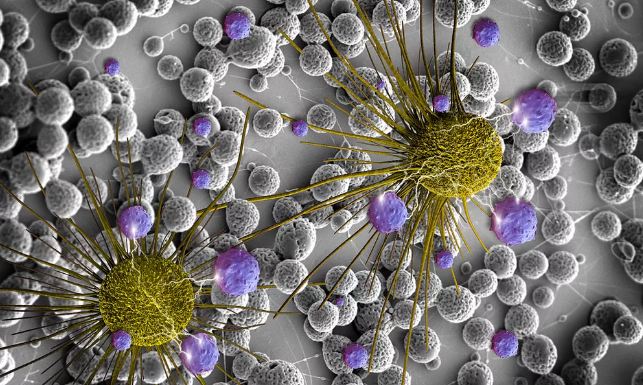 Cientistas desenvolvem exame de sangue capaz de detectar câncer com precisão